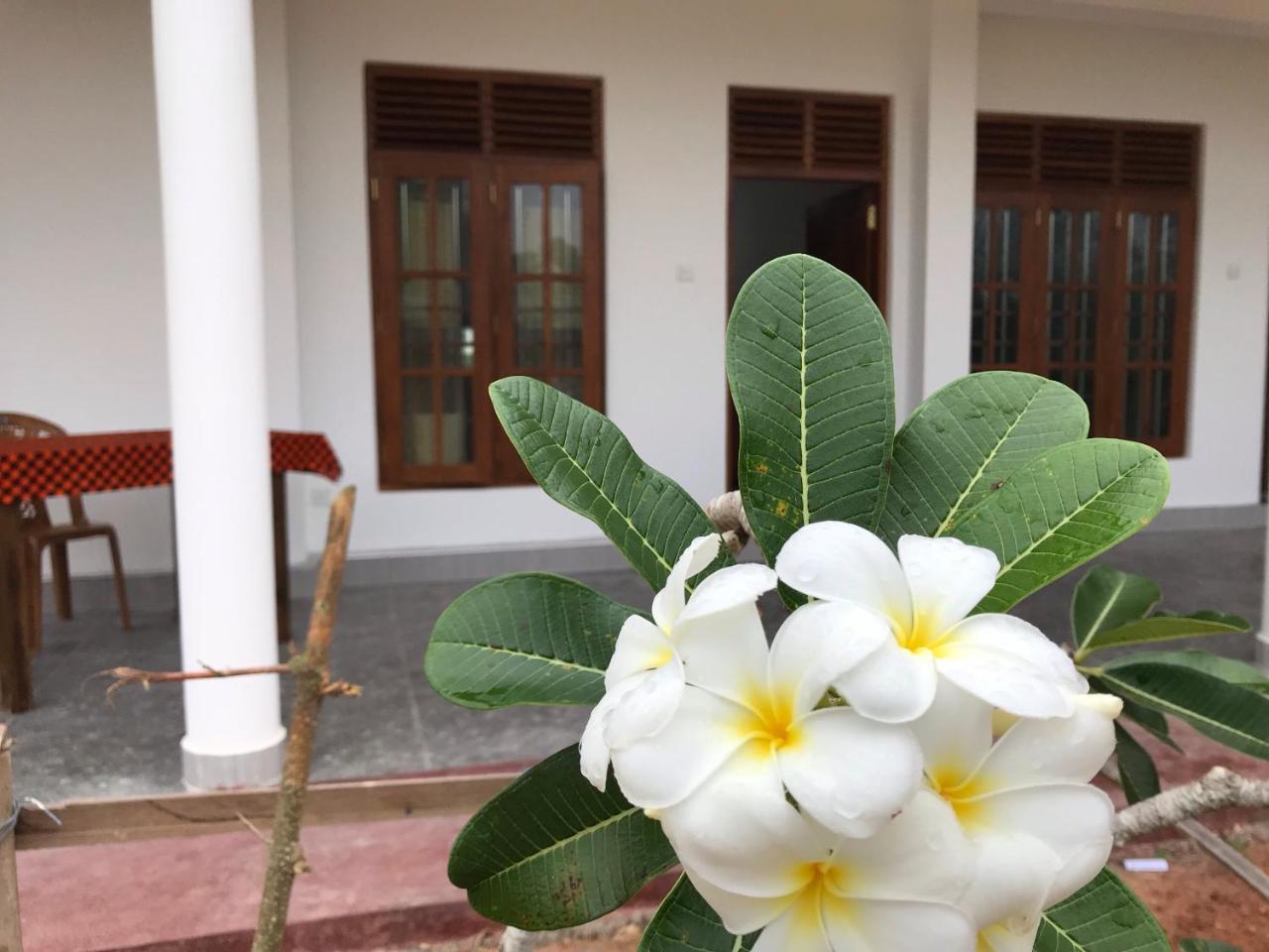 Thotupola Villa - Мирисса Экстерьер фото
